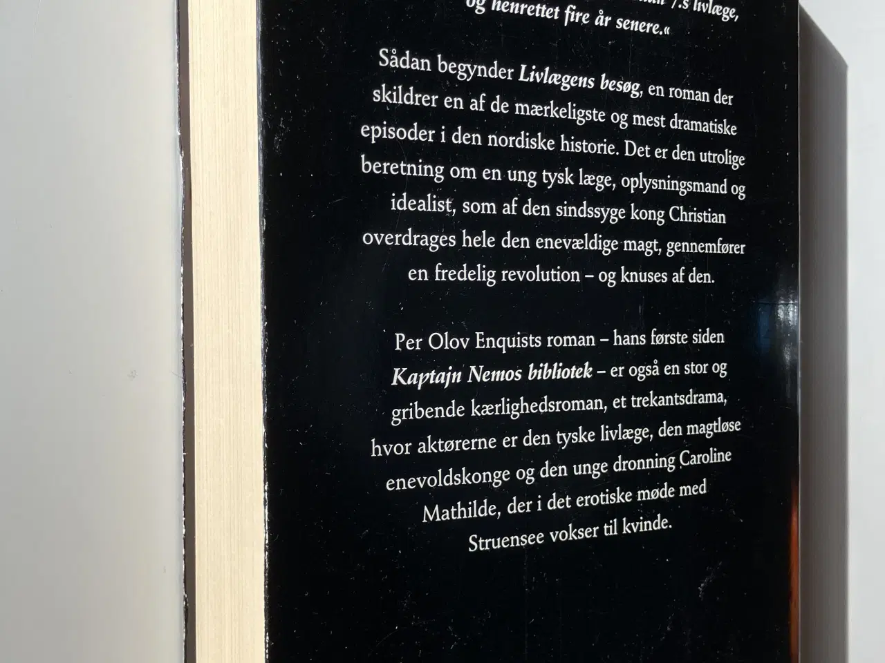 Billede 2 - Livlægens besøg. Af Per Olov Enquist