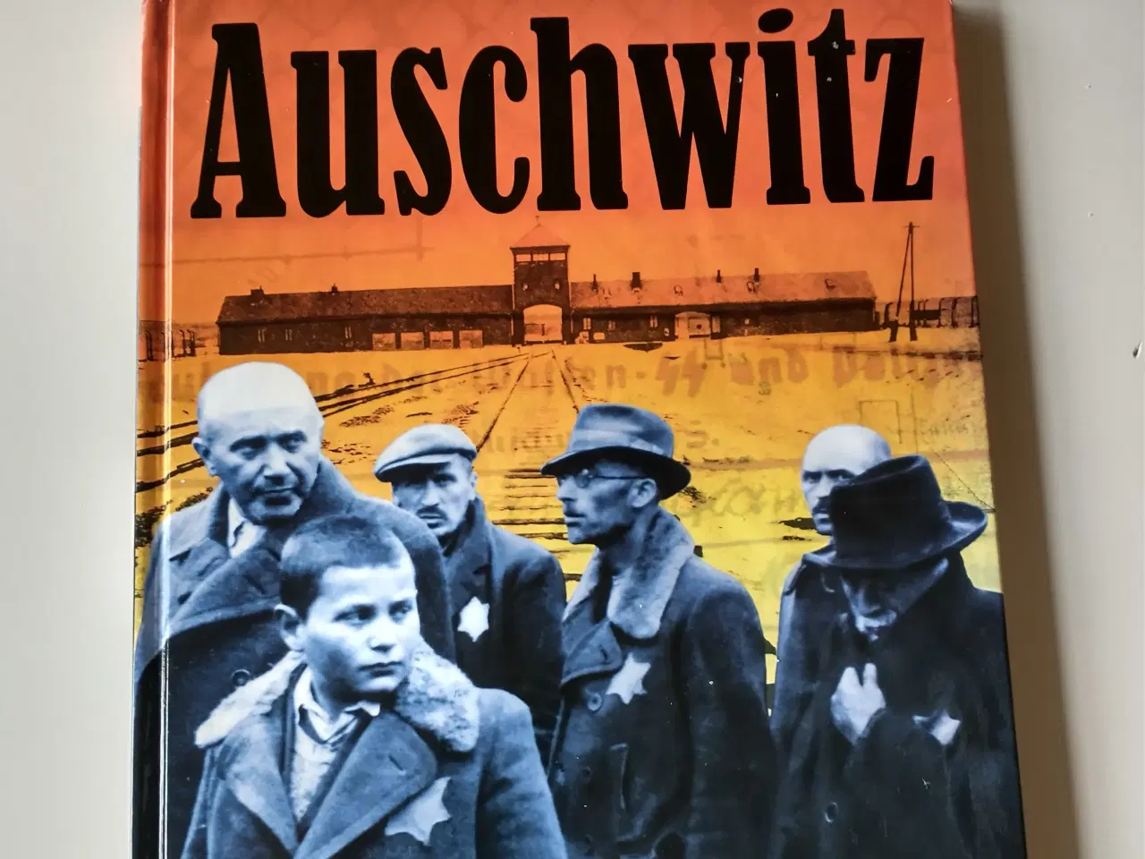 Billede 1 - Auschwitz - Historien om en naziztisk udryddelsesl