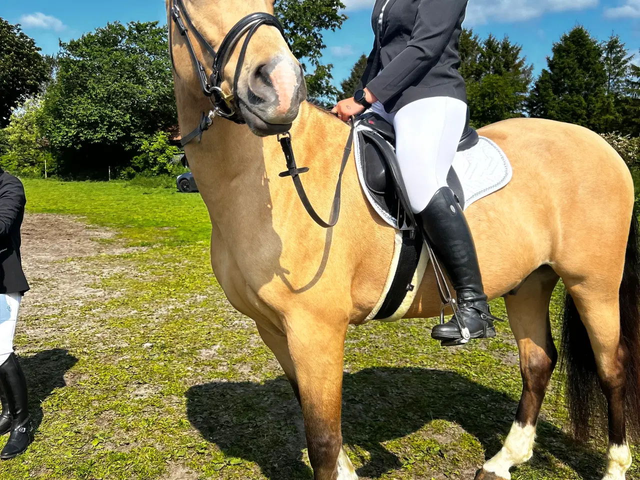 Billede 13 - Dine nye bedste ven