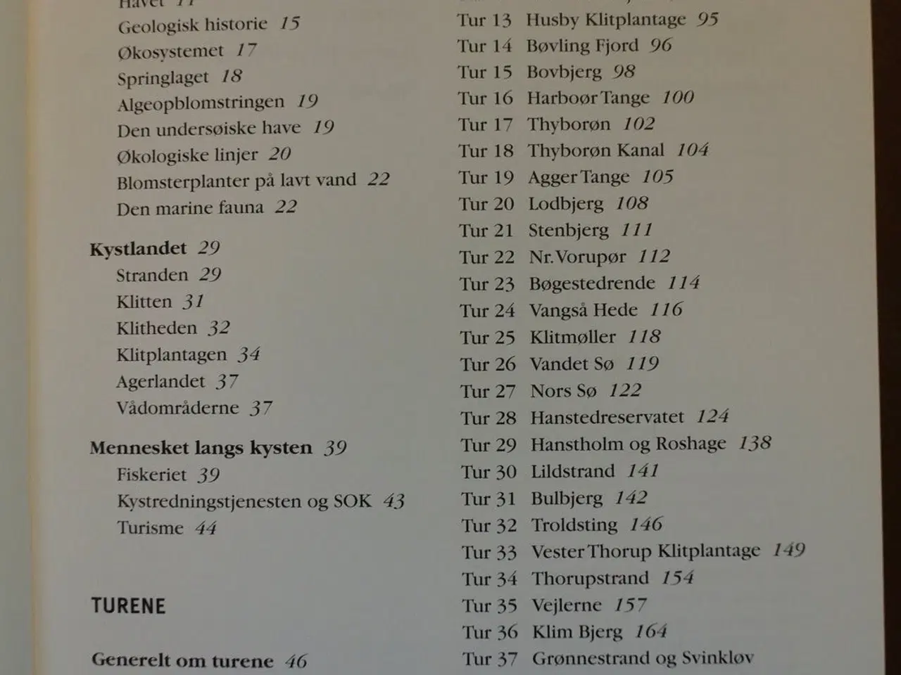 Billede 2 - jyllands vestkyst, af jens justesen, emne: natur o