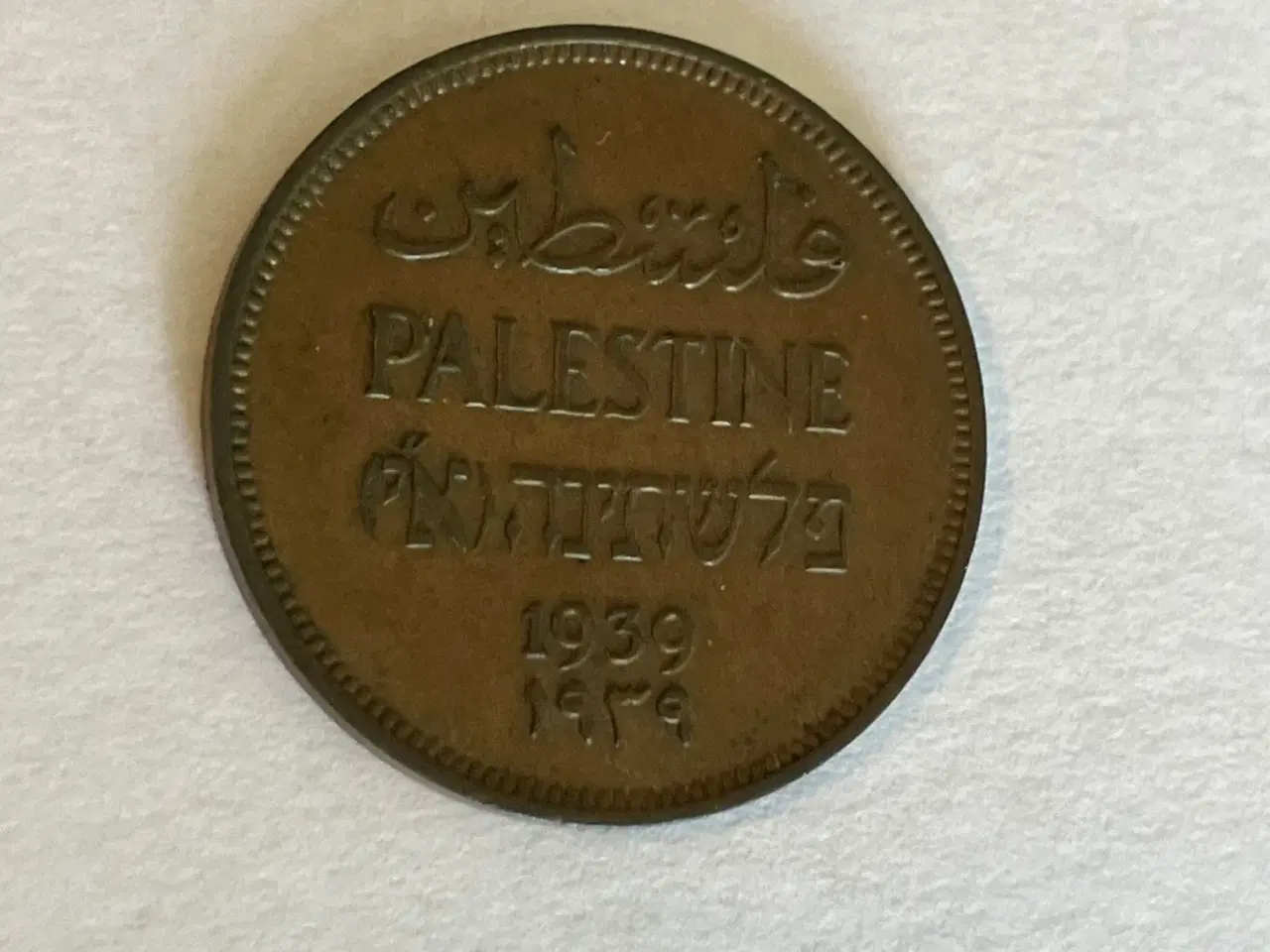 Billede 1 - 1 Mil Palestine 1939