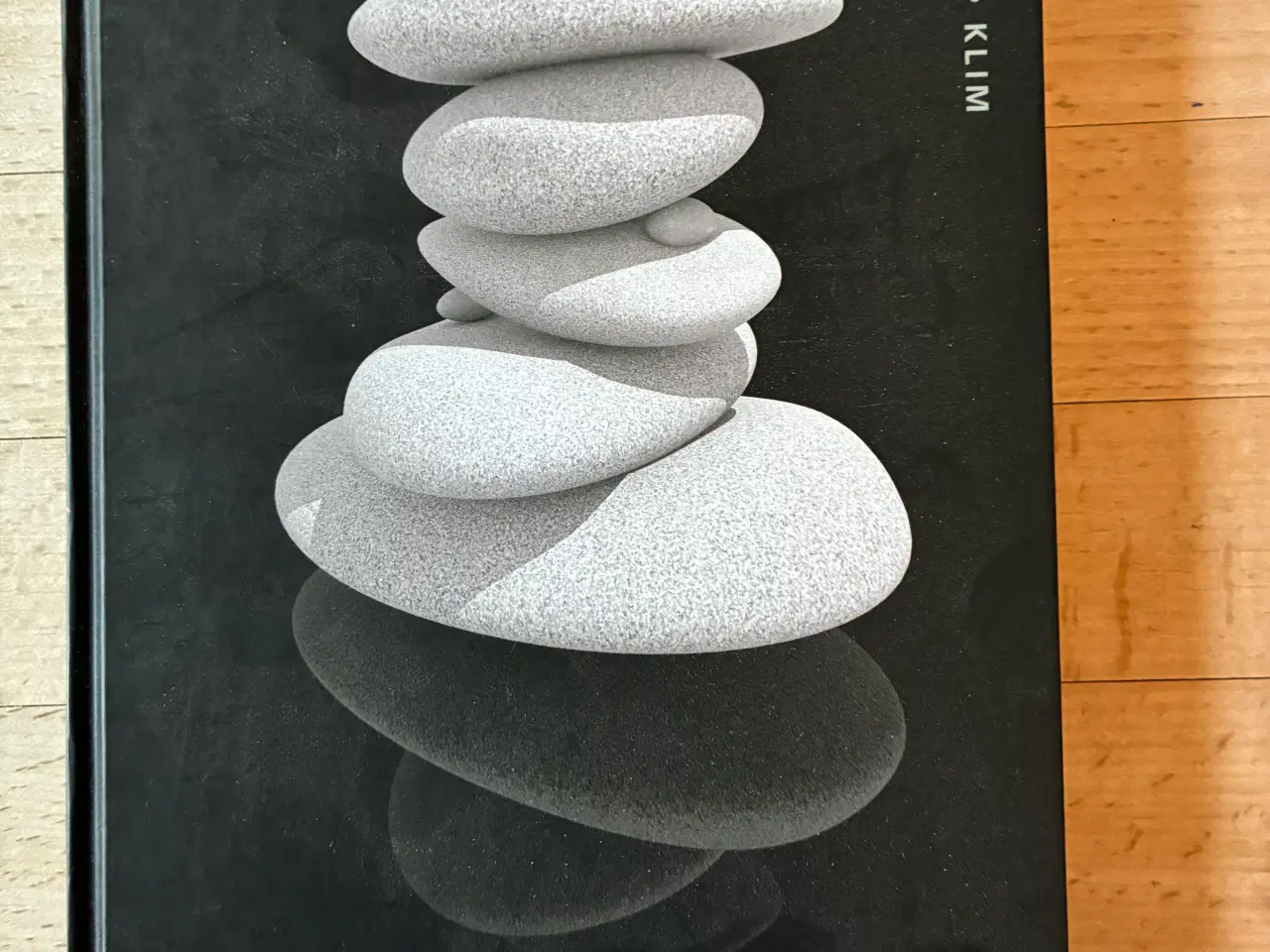 Billede 2 - Efter skælvet, Haruki Murakami