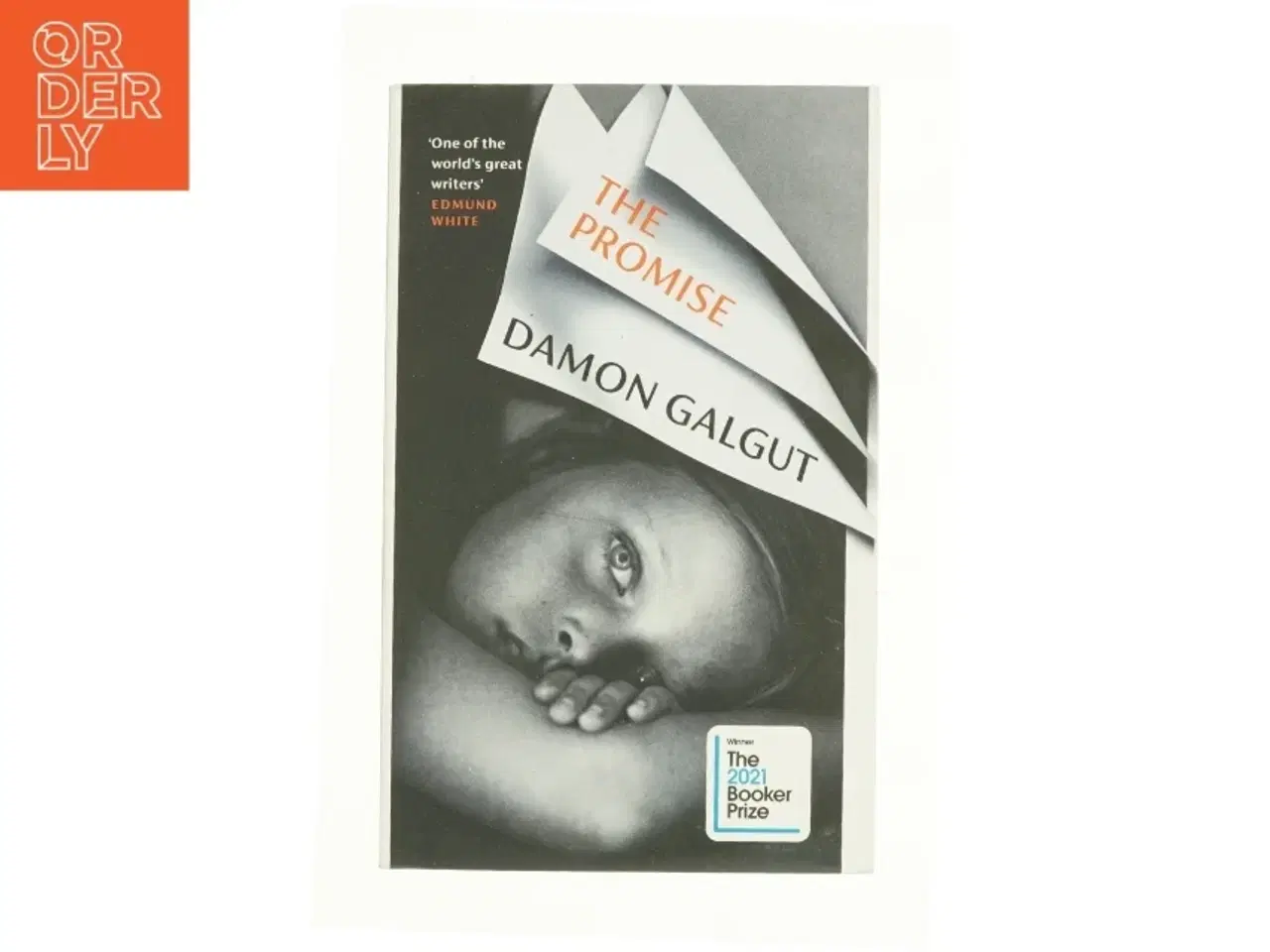 Billede 1 - The Promise af Damon Galgut (Bog)