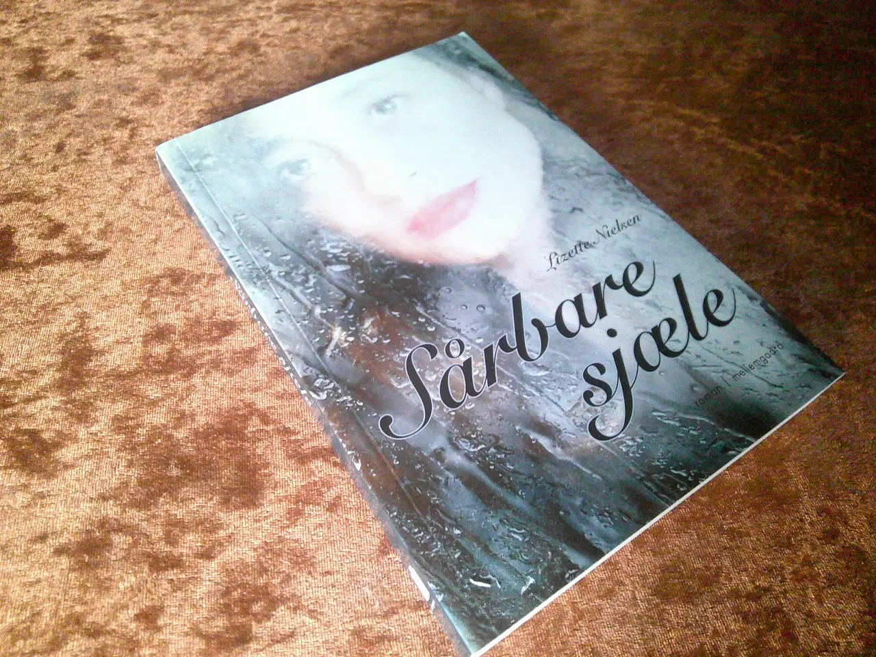 Billede 1 - Sårbare sjæle, Lizette Nielsen
