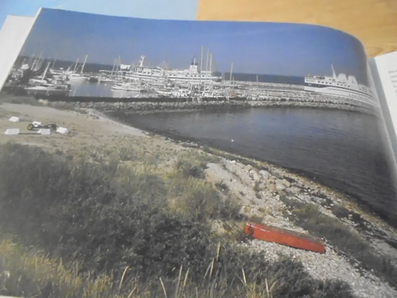 Billede 3 - Mellem klitter og rønner – Læsø’s gaver