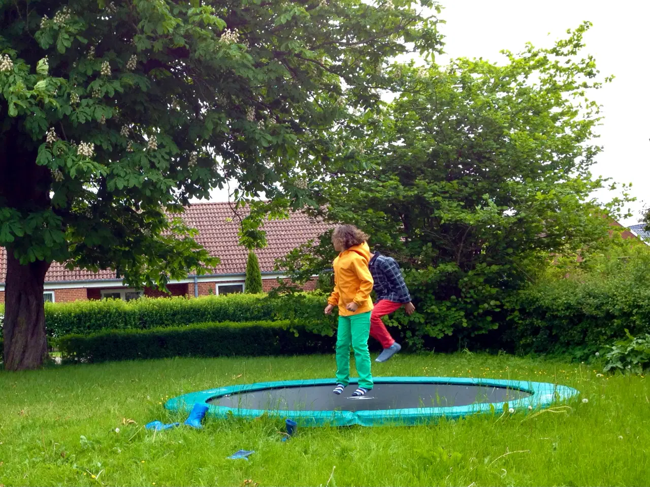 Billede 2 - Trampolin BERG SPORTS FAVORIT INGROUND GRØN