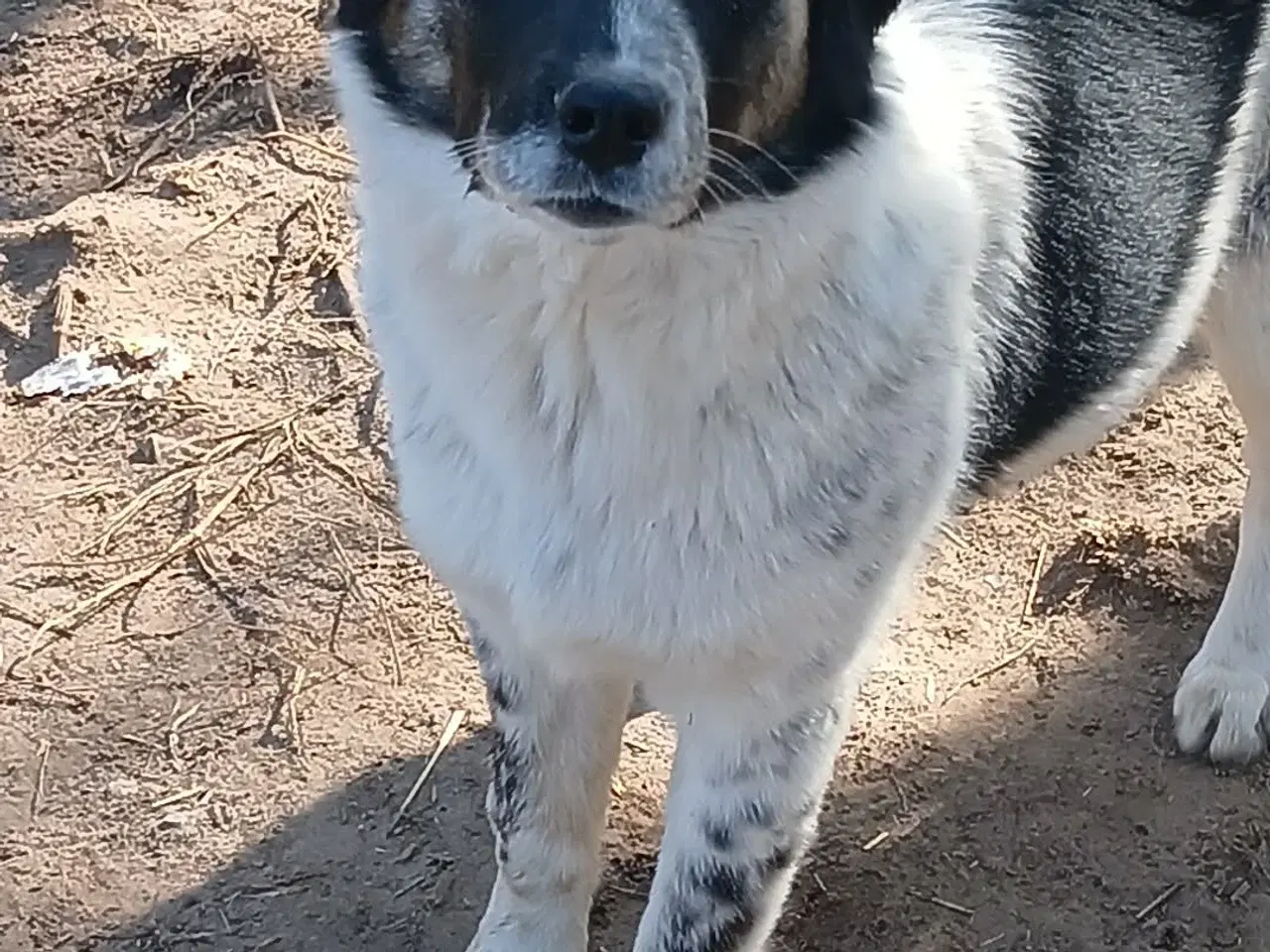 Billede 14 - Sødeste Lumos 🩷