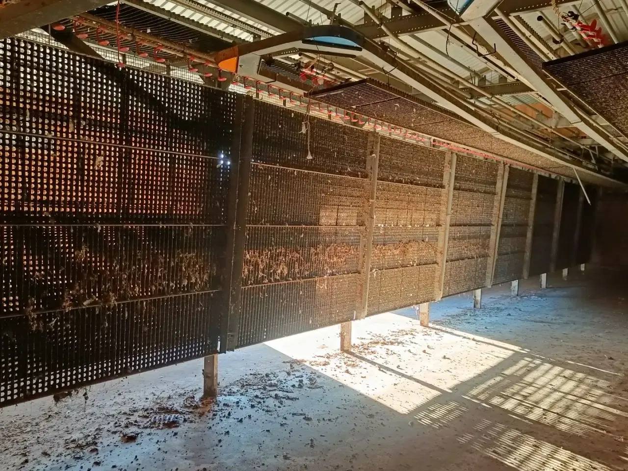 Billede 2 - - - - Fjerkræ opdrætssytem, (inventar) til  ca. 6500 stk.