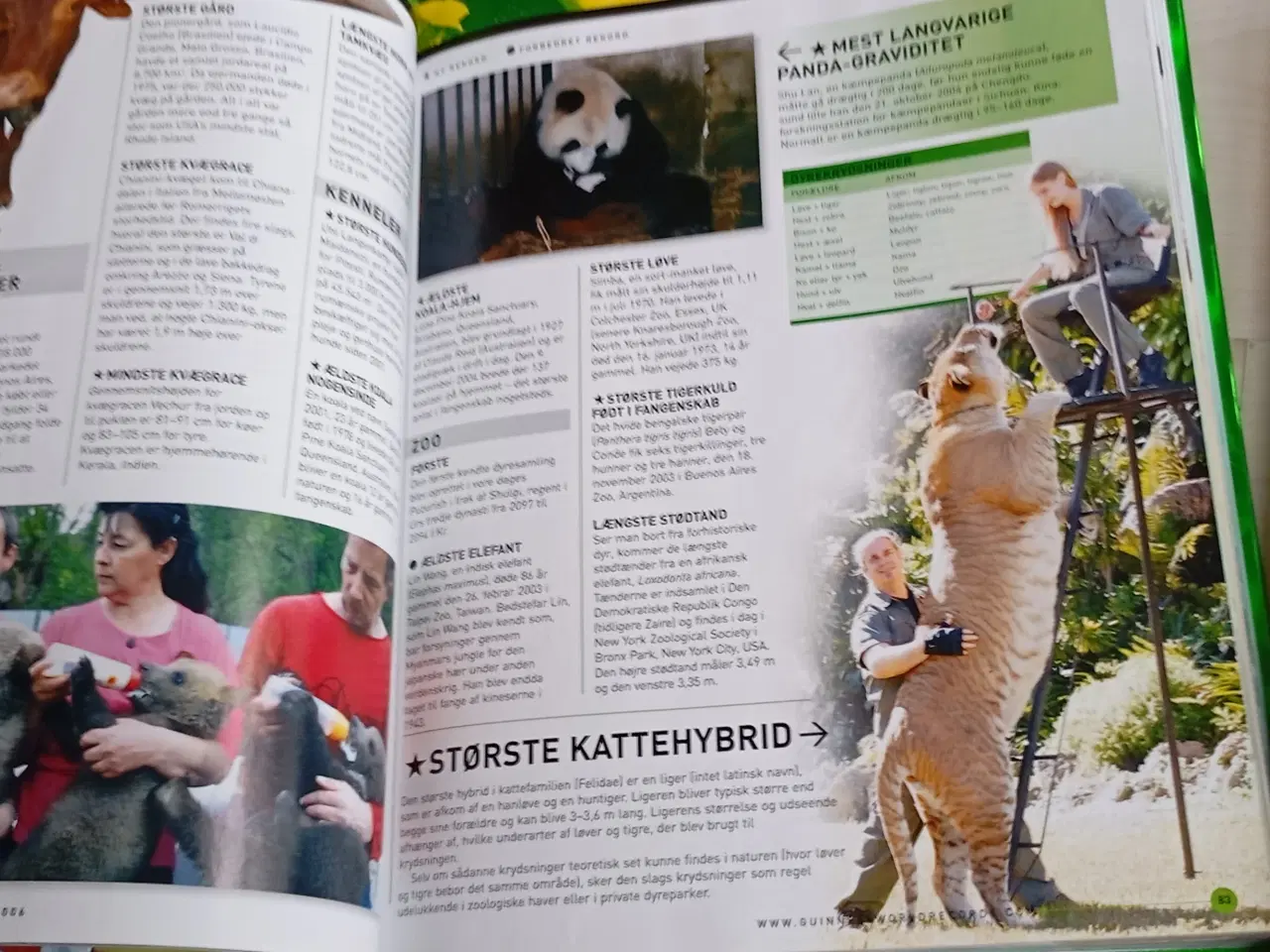 Billede 5 - Guinness Rekord bøger. 3D