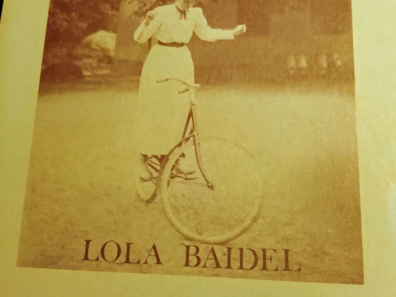 Billede 1 - Lola Baidel: En sagte raslen. Digte.