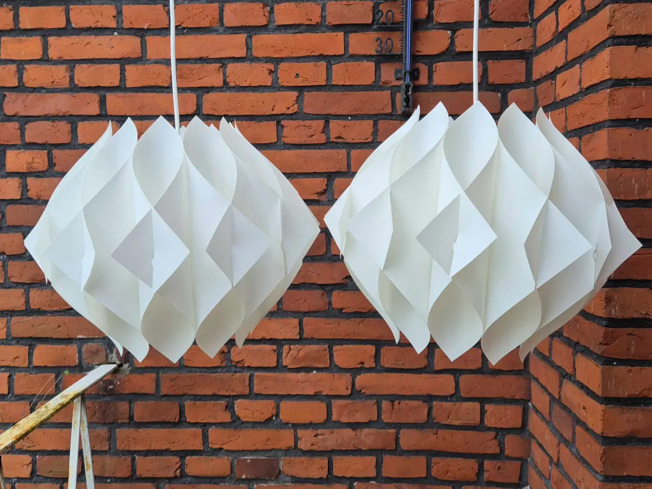 Billede 17 - Velholdte og smukke hvide Butterfly 