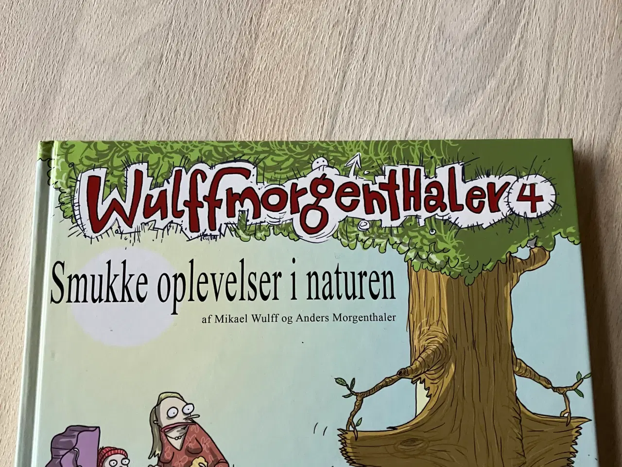 Billede 1 - Bog fra WulffmorgentHaller.Smukke oplevelser….