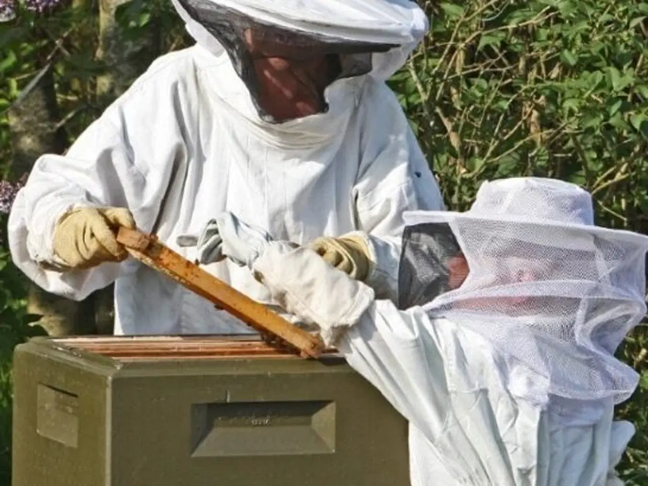 Billede 1 - Biavl - udstyr - samlet sæt