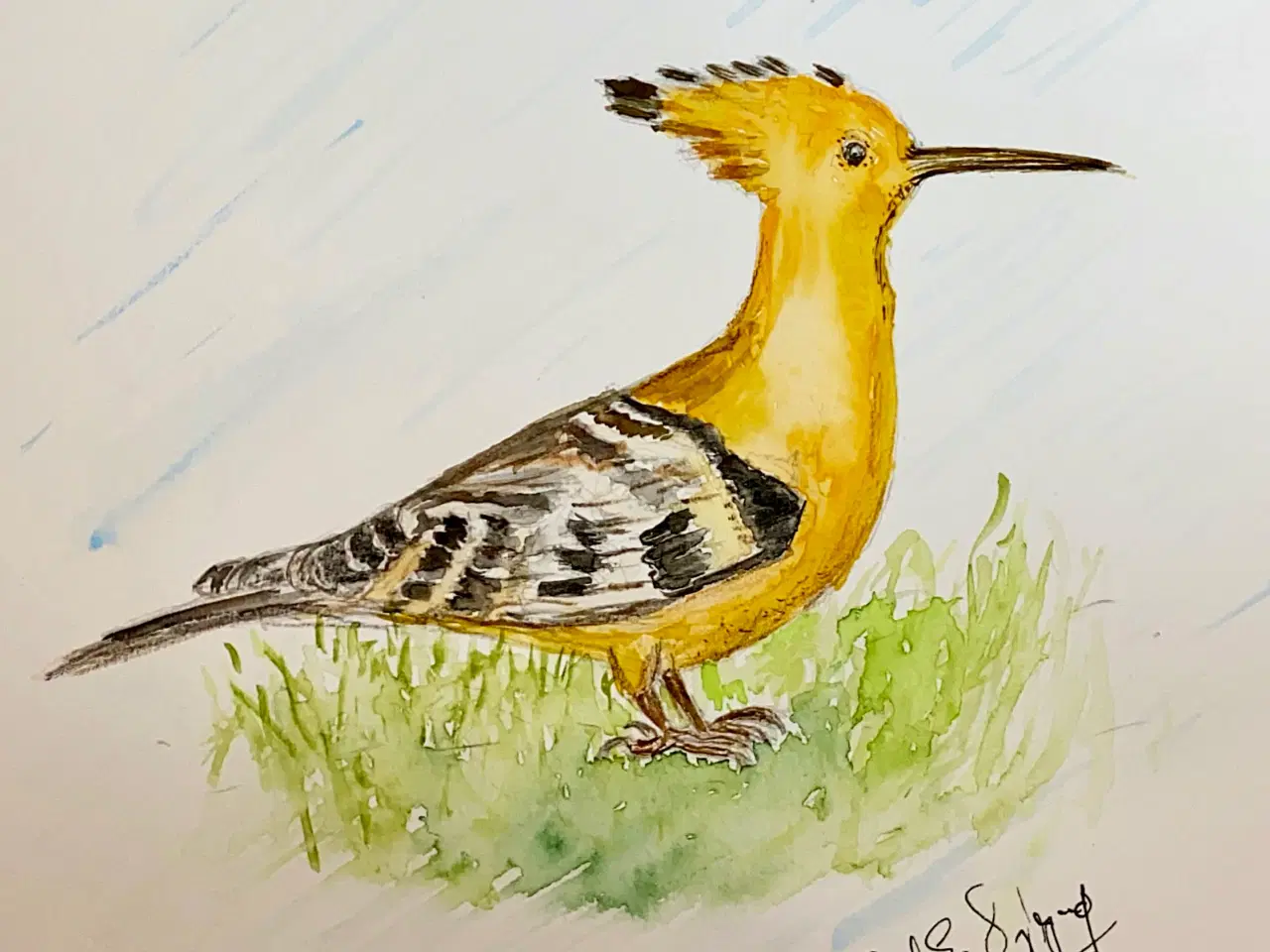 Billede 19 - Akvareller 