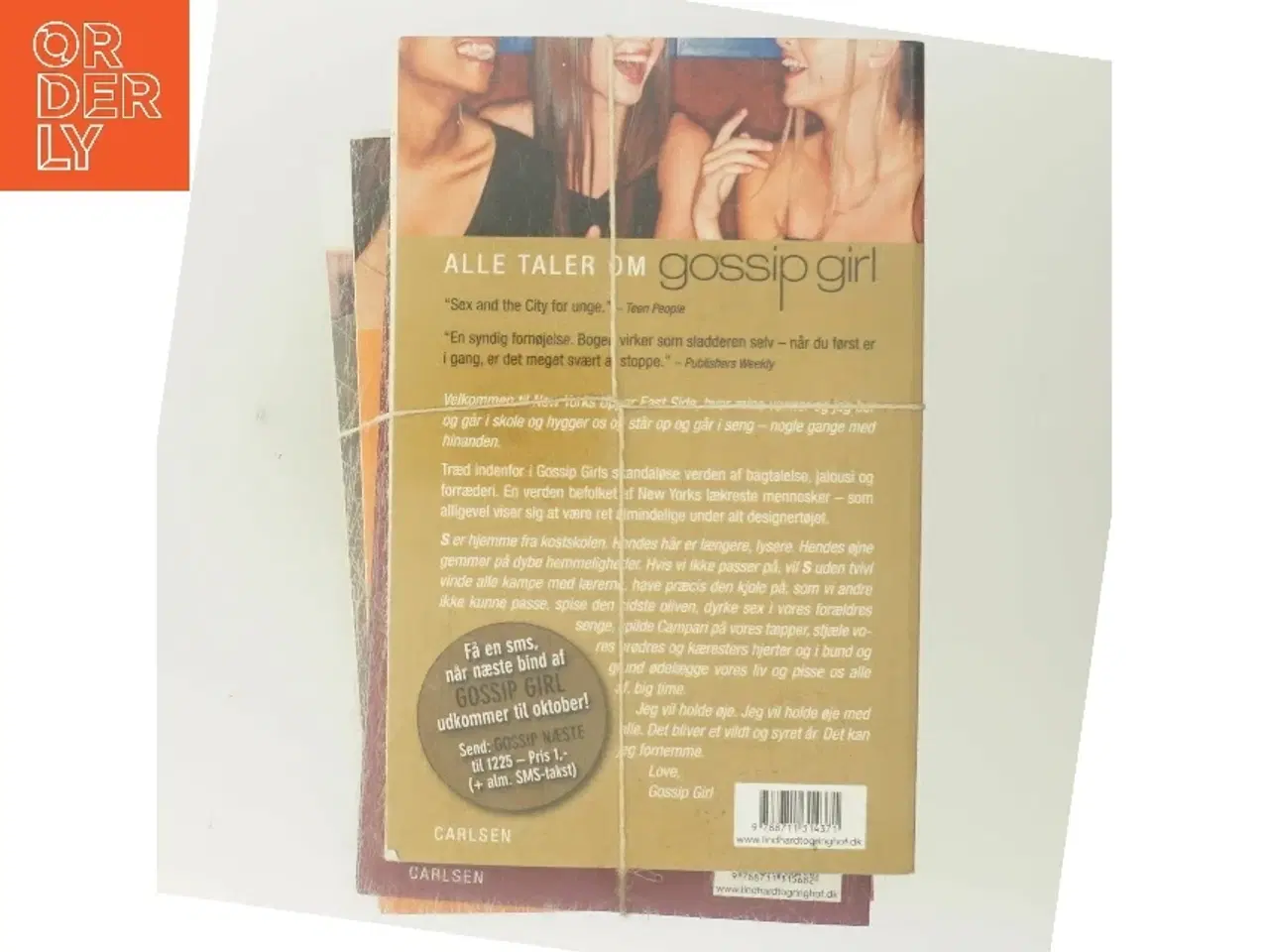Billede 3 - Gossip Girl 1-4: en roman af Cecily Von Ziegesar (Bog)