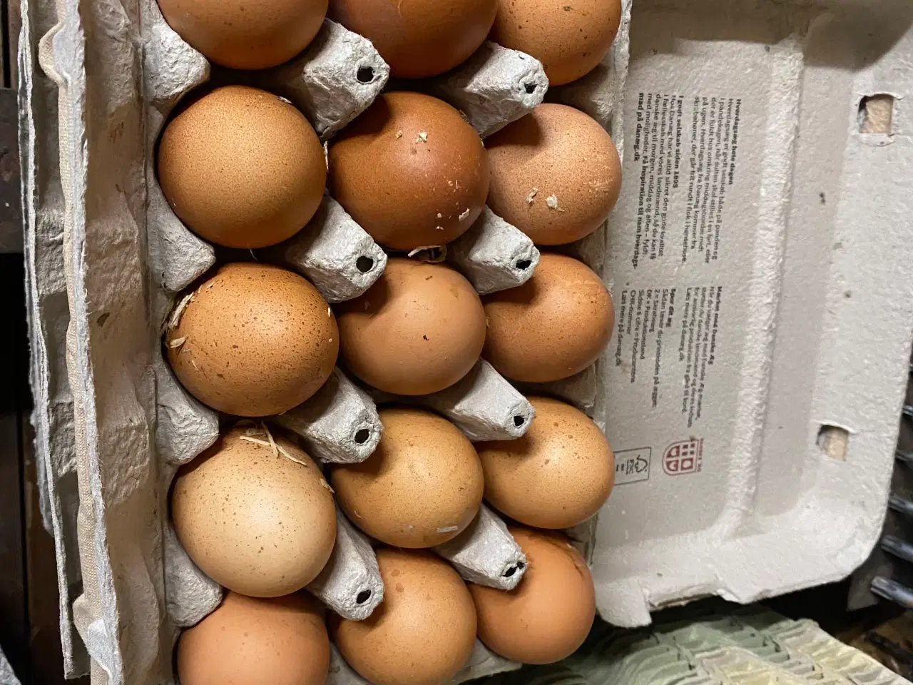 Billede 7 - Æglæggende høns bl.a. race