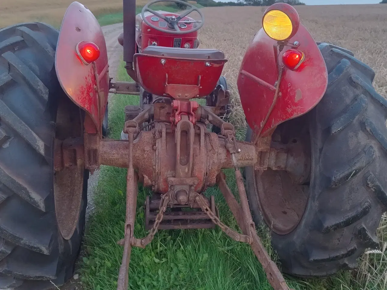 Billede 5 - Massey Ferguson 65 i utrolig fin original stand