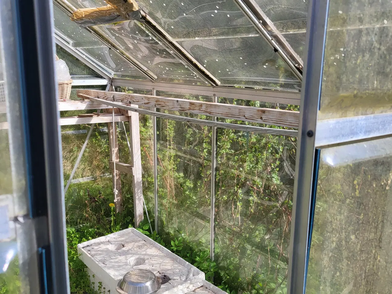 Billede 2 - Drivhus, gratis mod afhenting