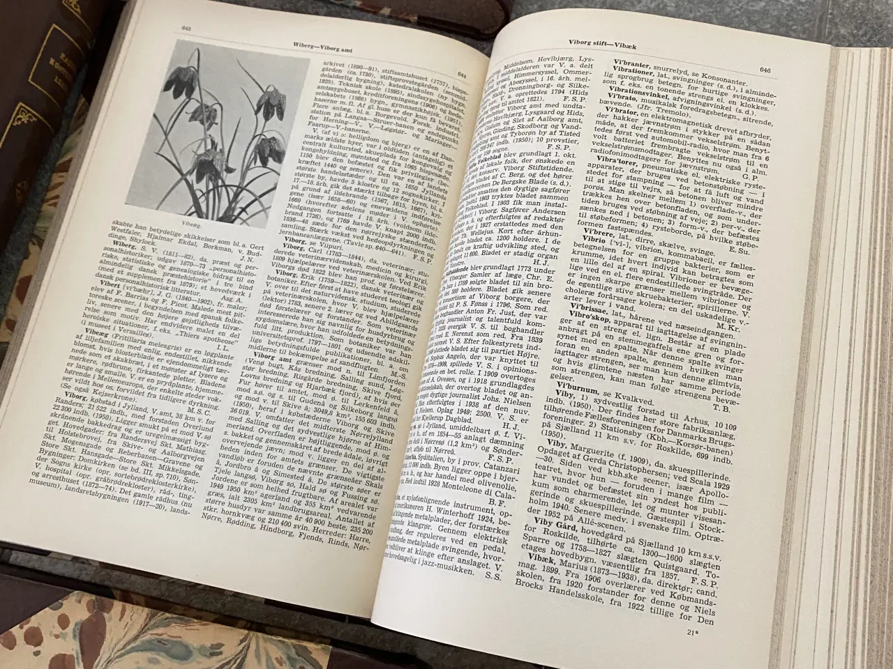 Billede 7 - Raunkjærs Konversations leksikon