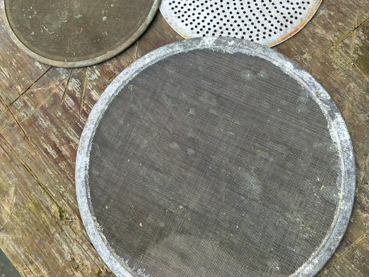 Billede 2 - Sigter til mælksi