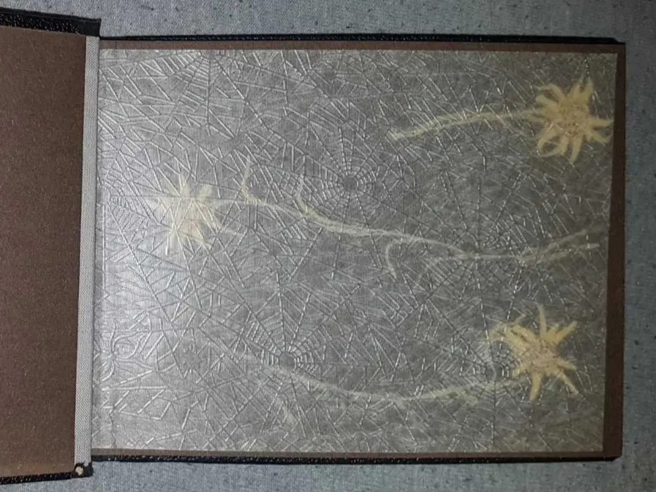 Billede 4 - Fotoalbum fra Østrig