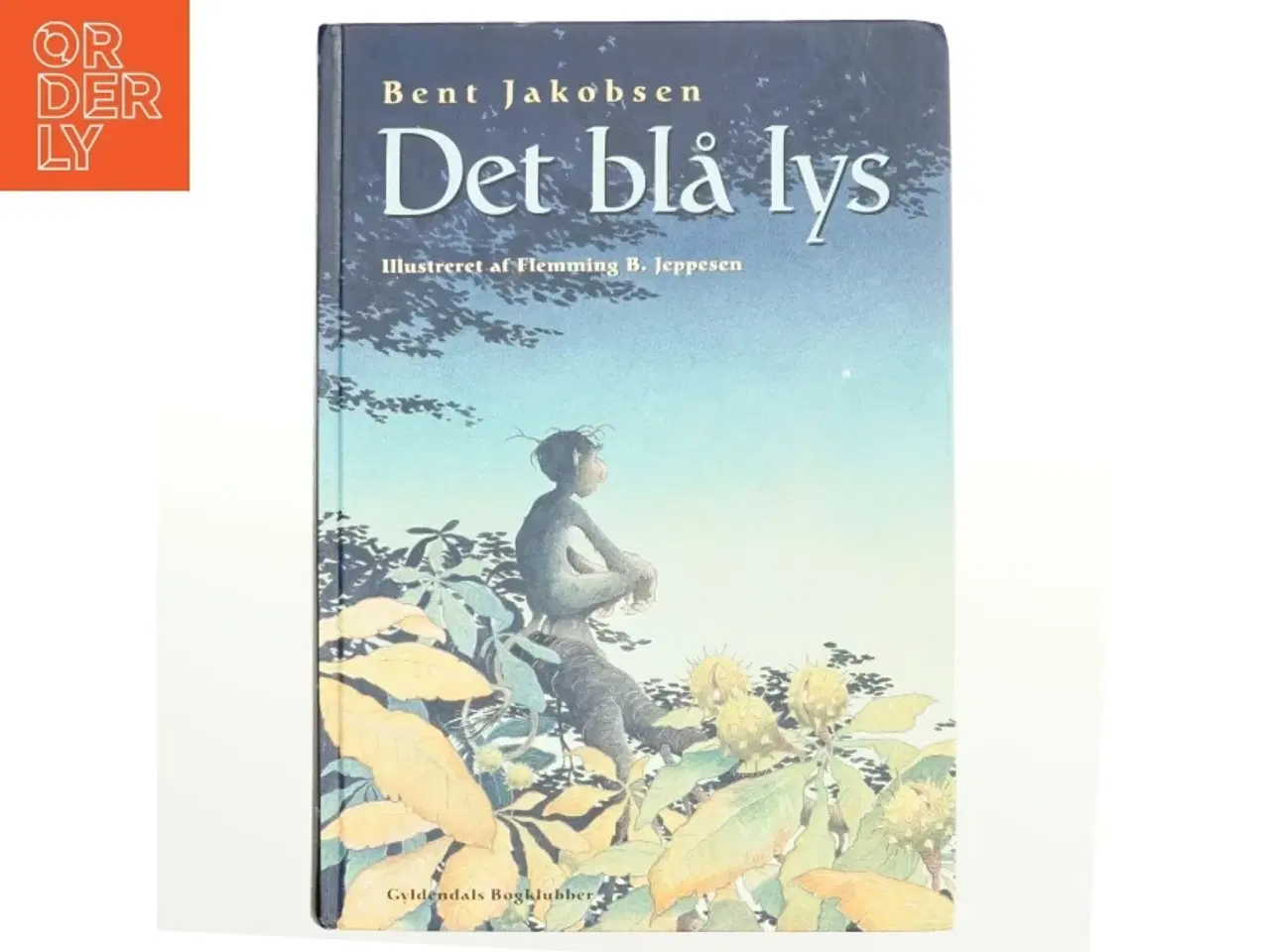 Billede 1 - Det blå lys af Bent Jakobsen (f. 1959-08-21) (Bog)