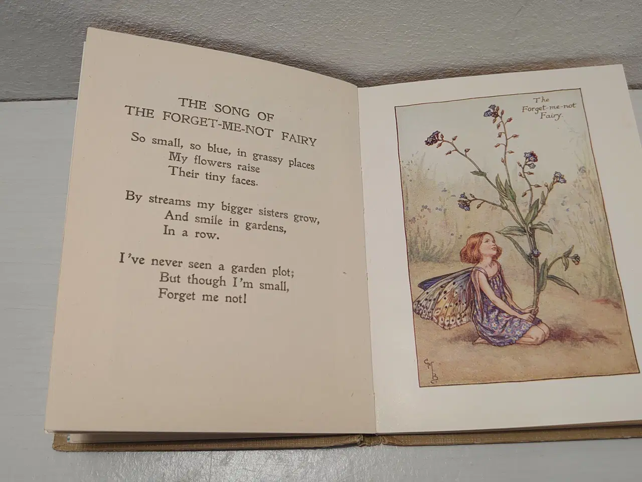 Billede 4 - Cicely Mary Barker:Flower Fairies of the Summer.