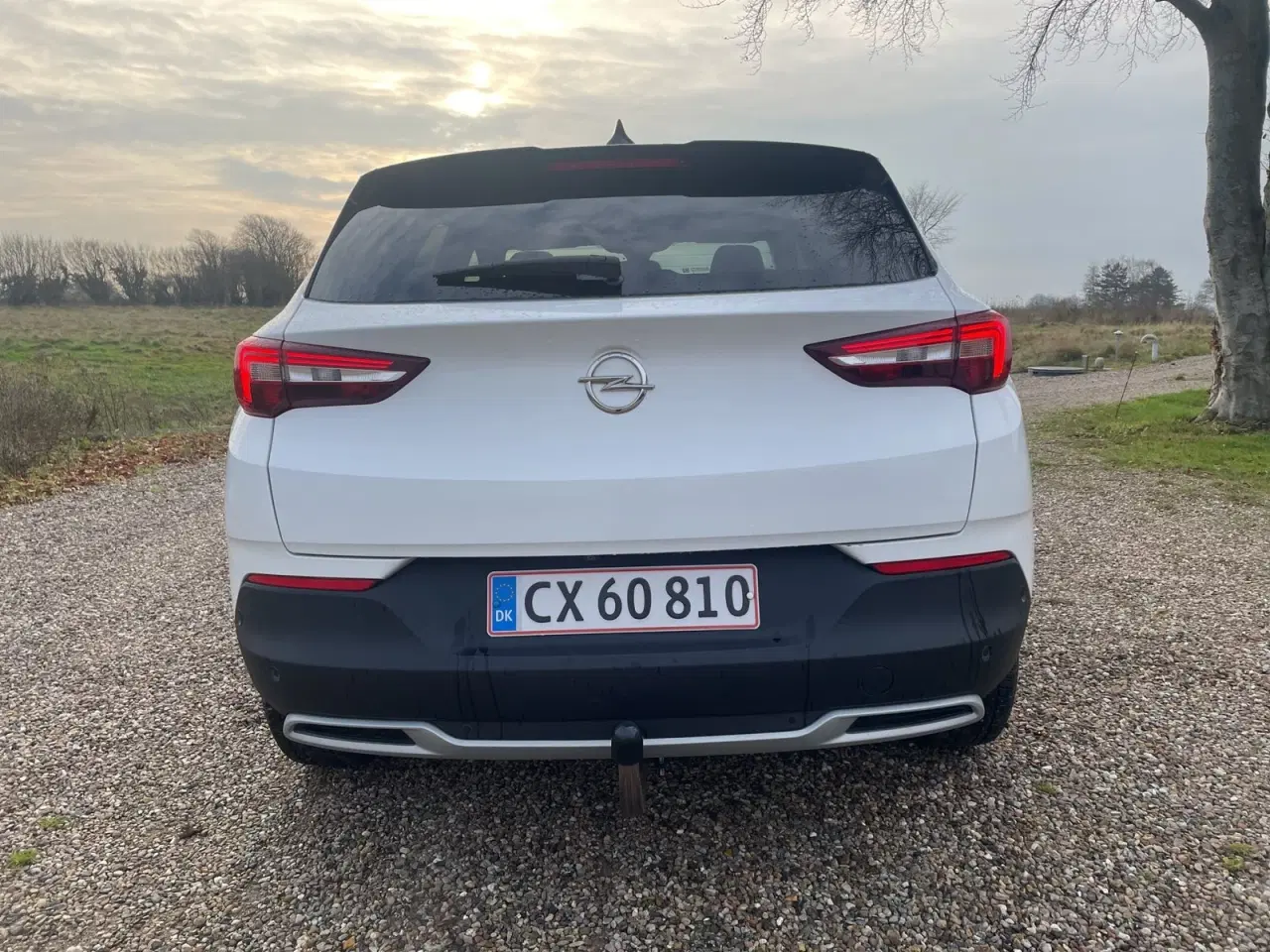 Billede 6 - Opel Grandland X 1,6 CDTi 120 Innovation aut.