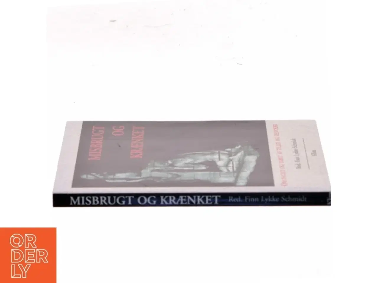 Billede 2 - Misbrugt og krænket : om incest og tab af tillid og selvværd af Finn Lykke Schmidt (Bog)