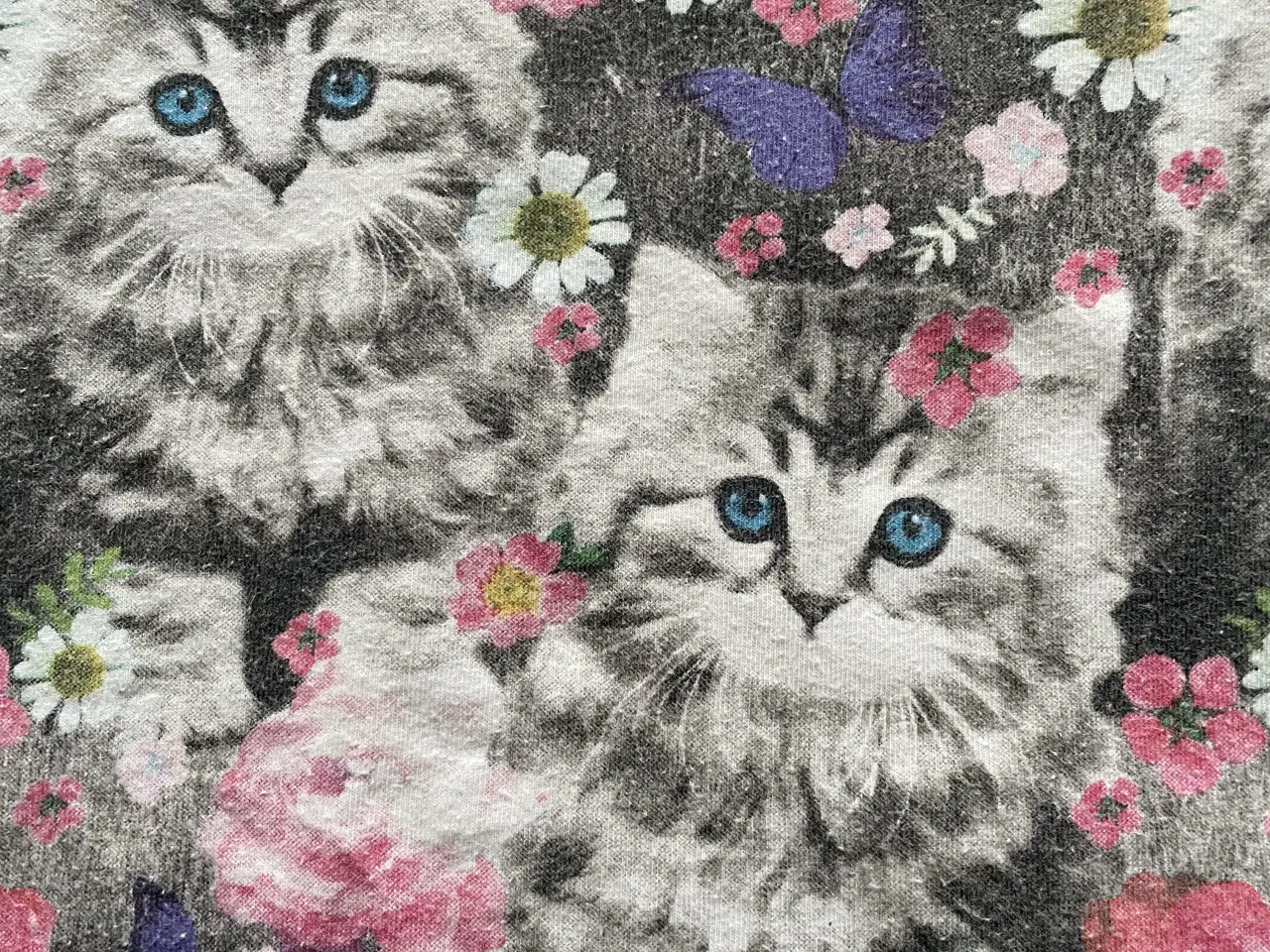 Billede 3 - Sød katte bluse str 80