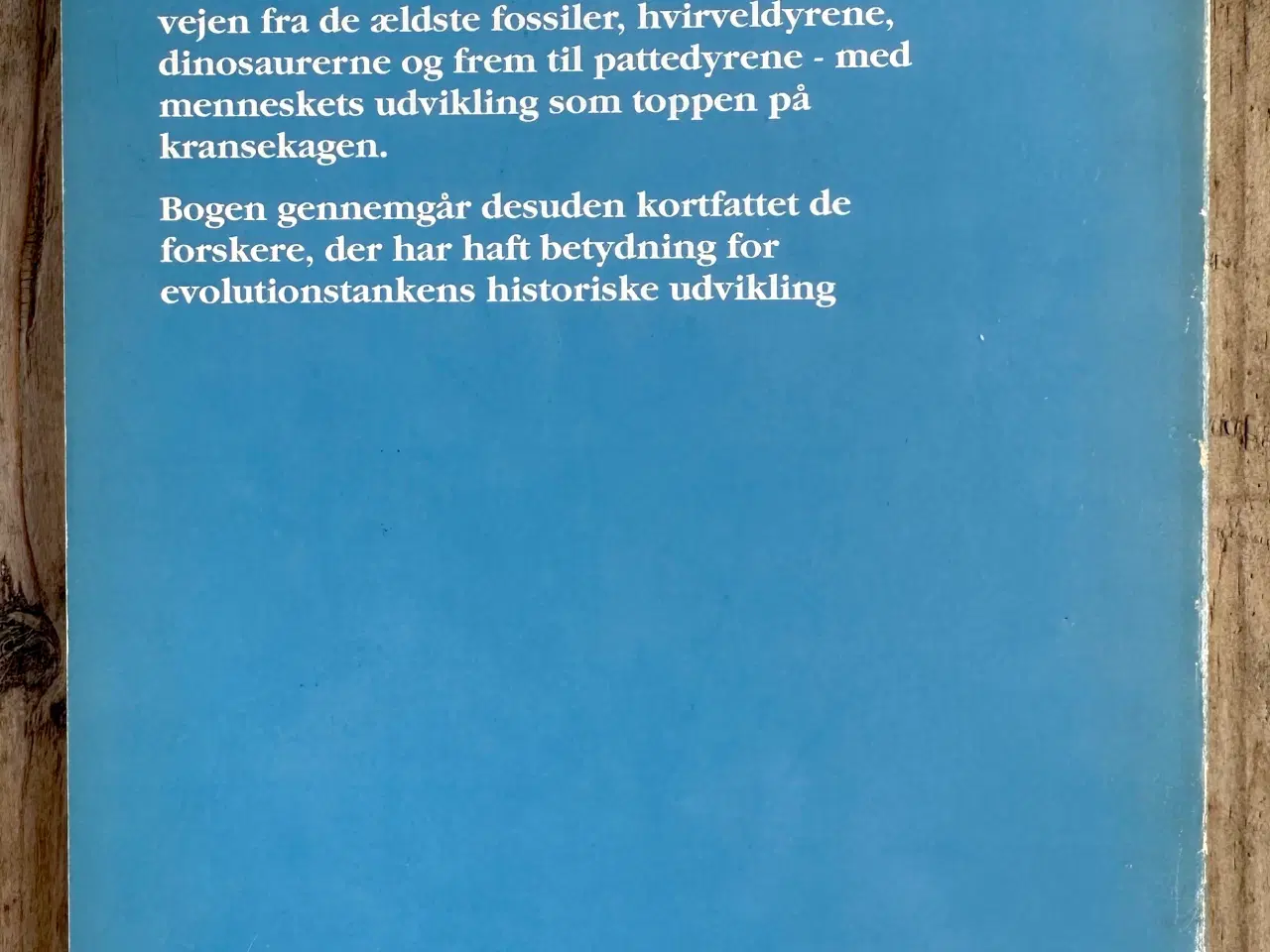 Billede 2 - Livets oprindelse og udvikling – Benedikt Gullach