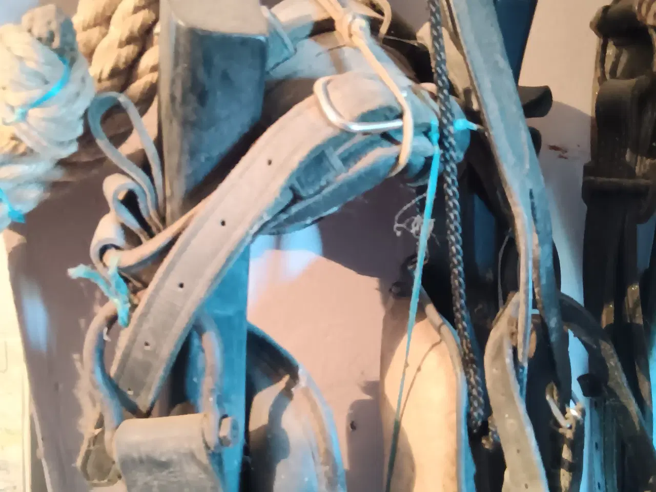 Billede 4 - Kører hovedtøj og seletøj sælges