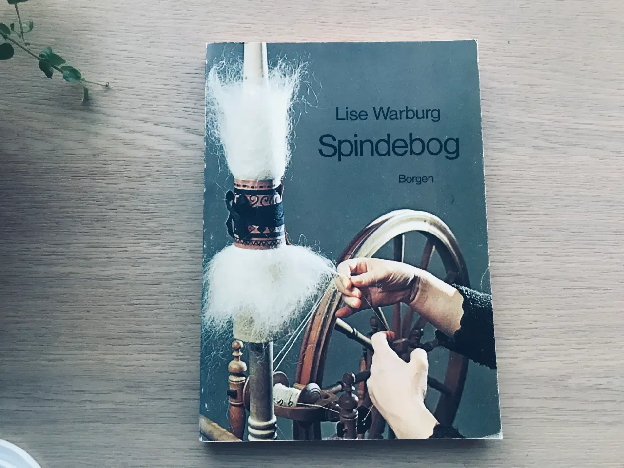 Billede 1 - Spindebog  af Lise Warburg