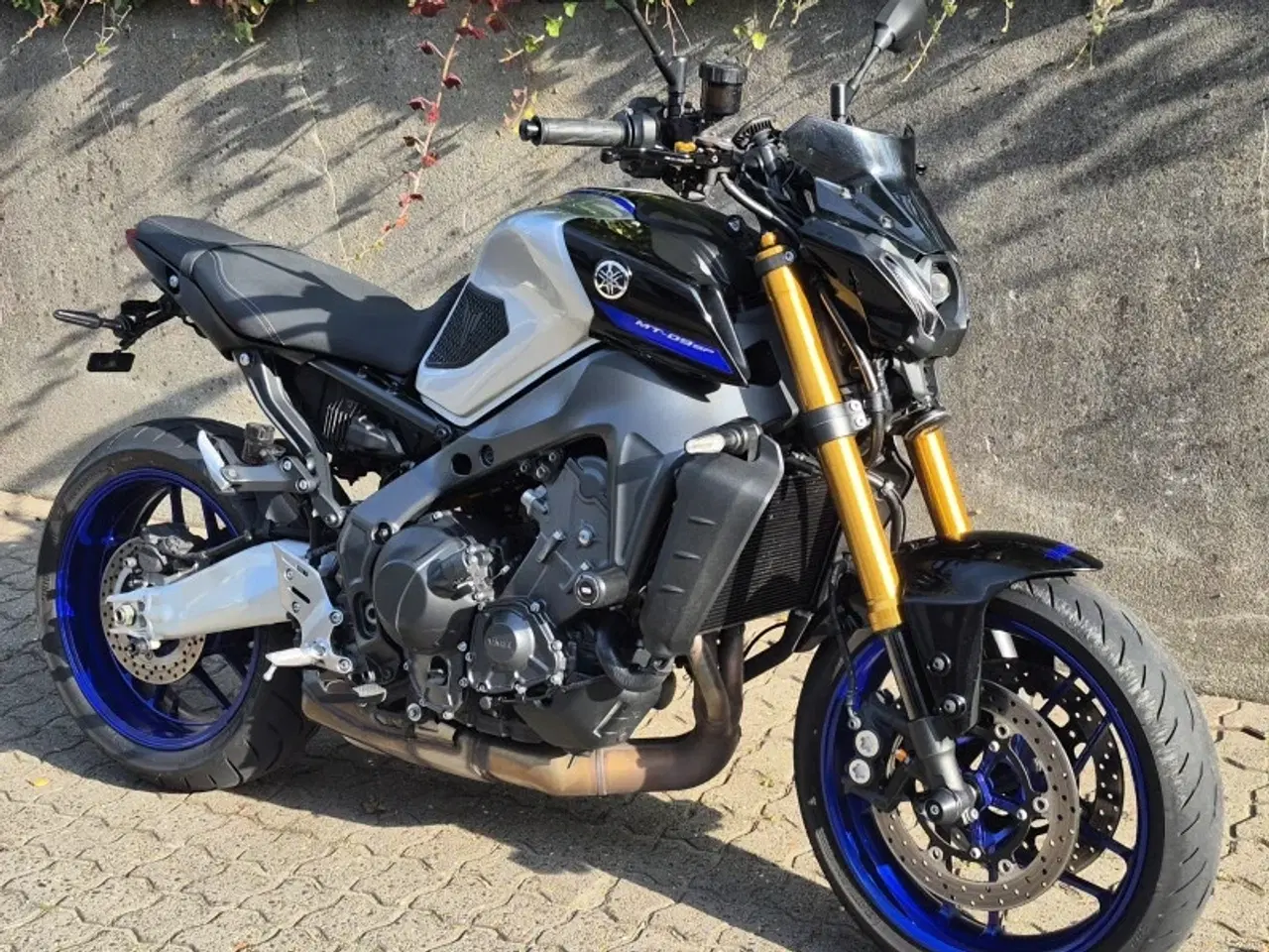 Billede 2 - Yamaha MT-09 SP