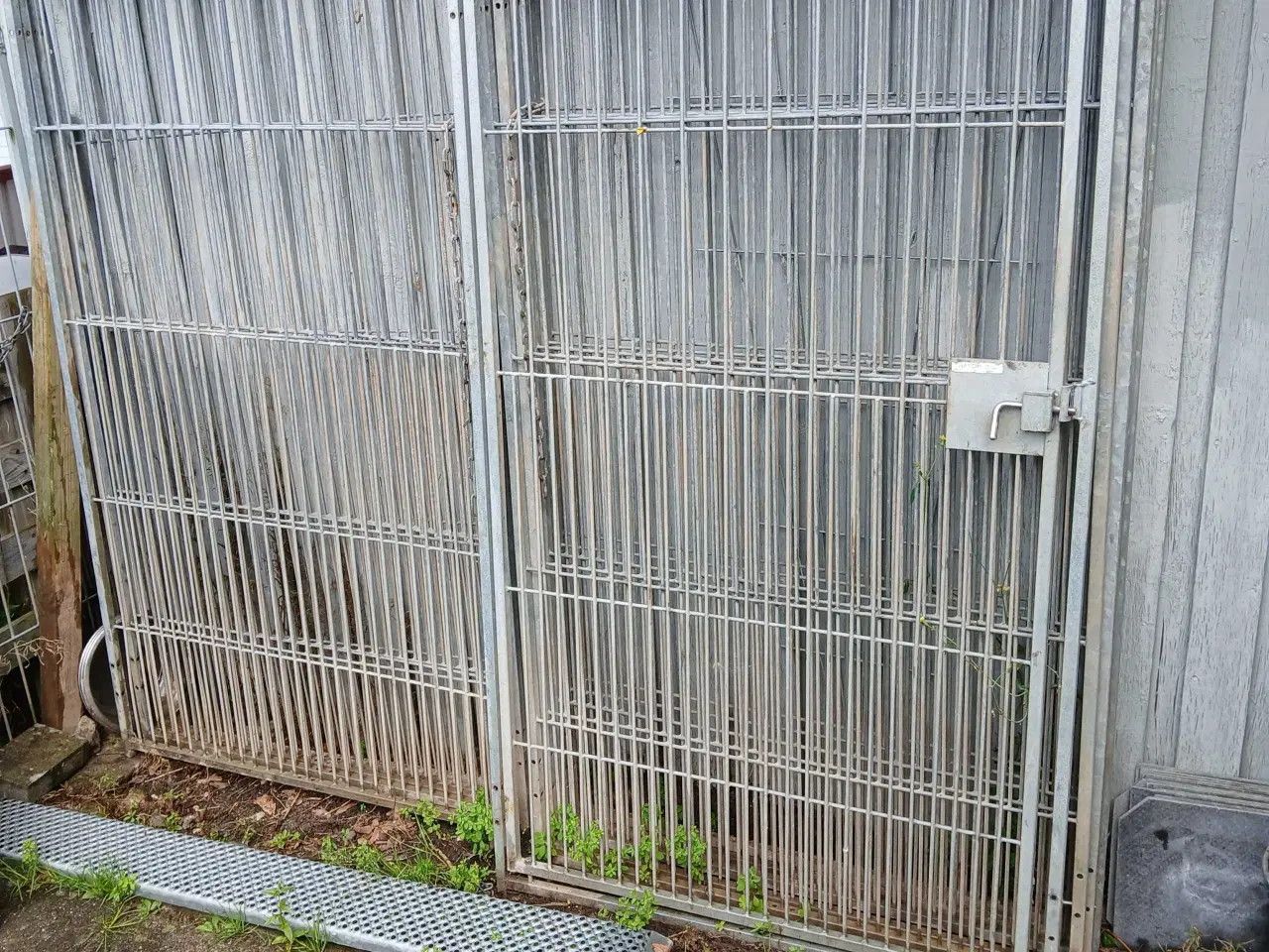 Billede 1 - Hakon hundegård 