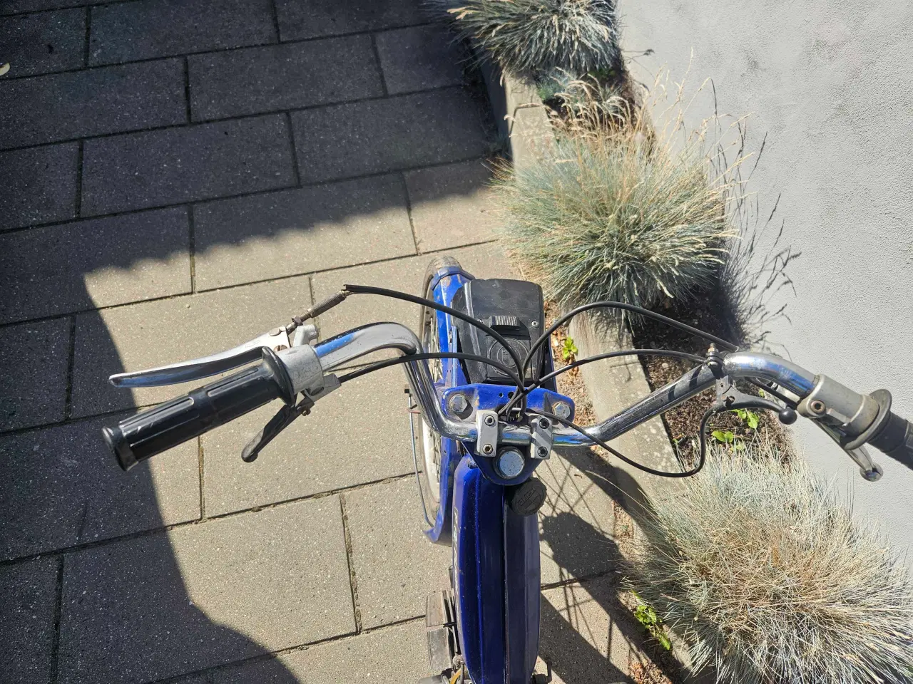 Billede 5 - Puch Maxi P