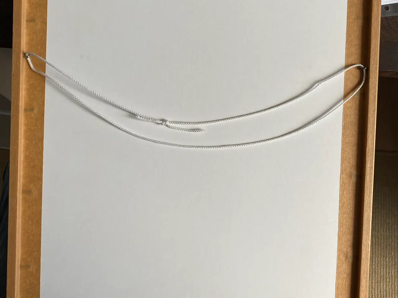 Billede 2 - Litografi Hånd coloreret & indrammet 