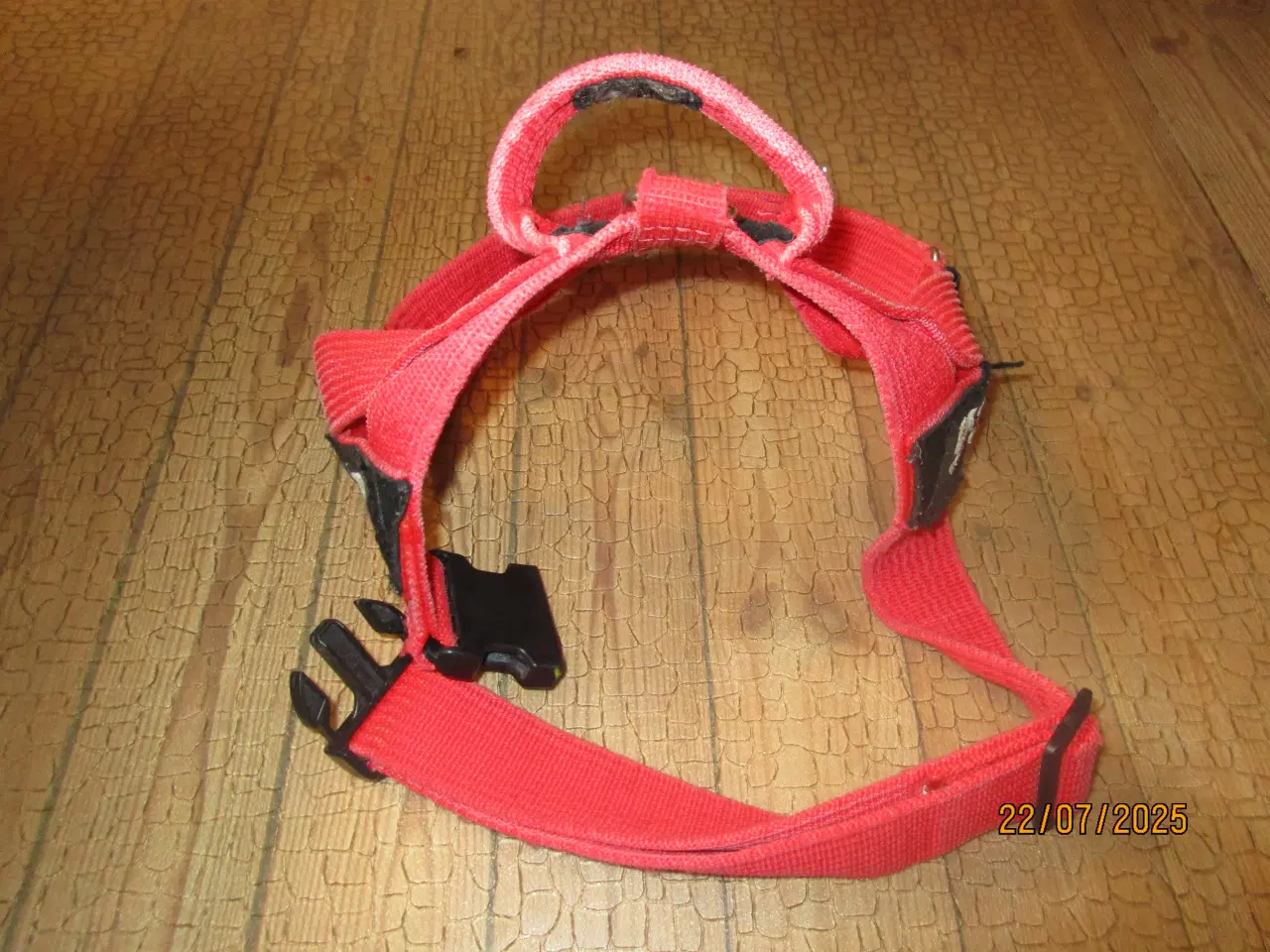 Billede 7 - Masser af ting til både den lille og store hund
