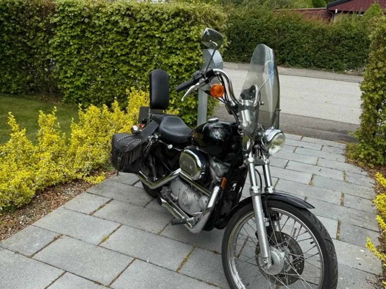 Billede 8 - Velholdt Harley-Davidson XL883 53 Custom