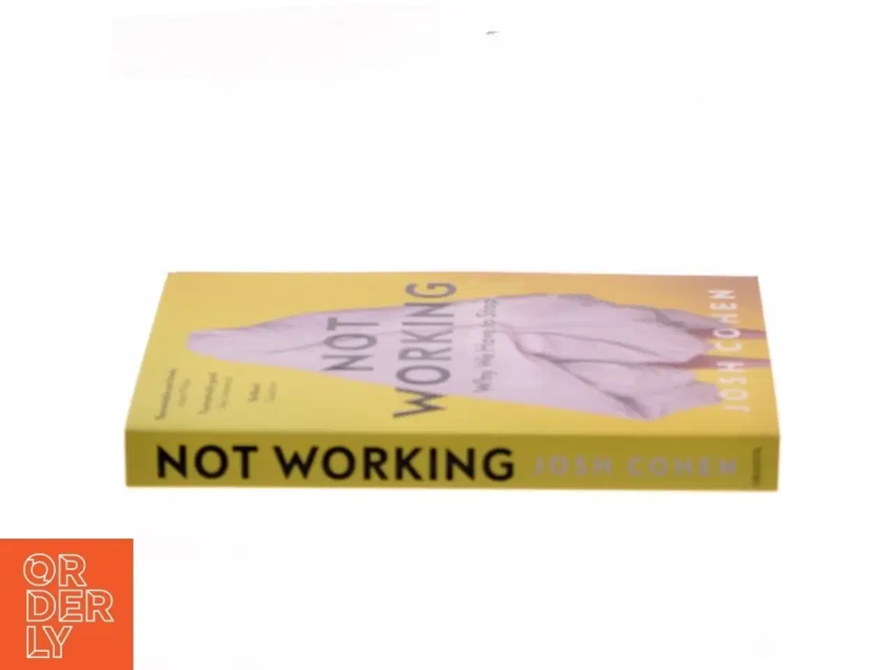 Billede 2 - Not Working af Josh Cohen (Bog)