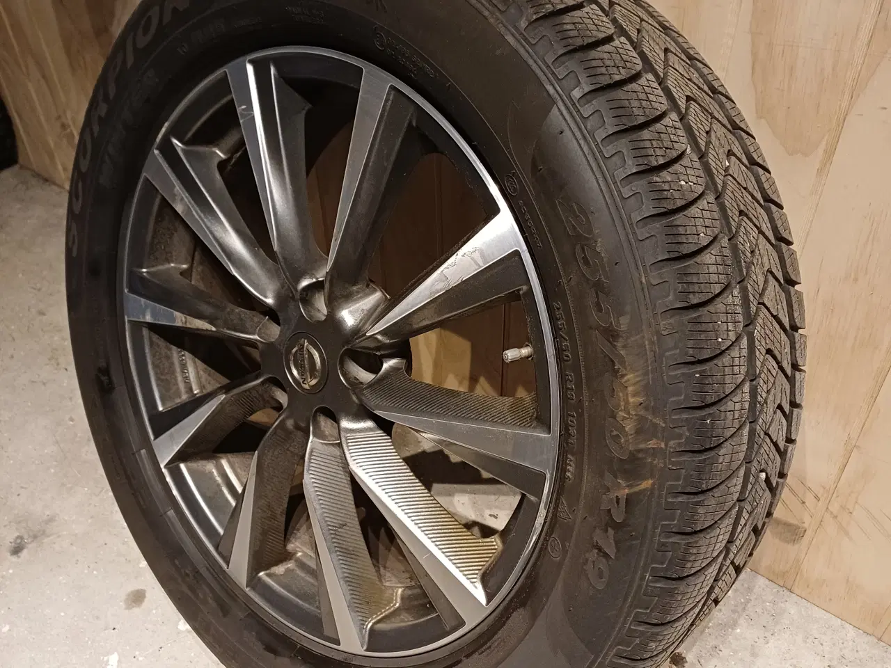 Billede 1 - Pirelli Scorpion Winter, 4x4/SUV, 255/50 R19