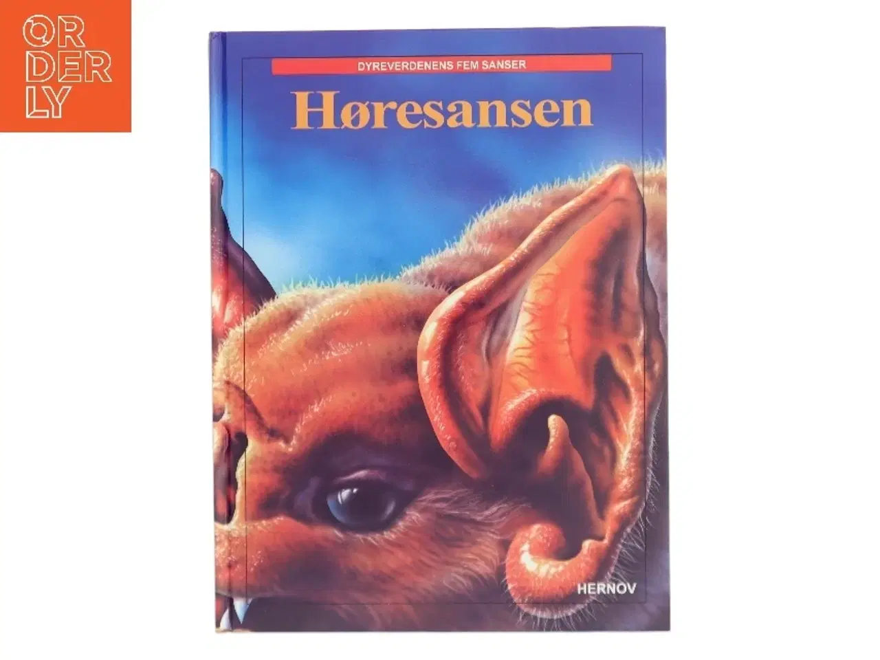 Billede 1 - Høresansen – Dyreverdens fem sanser fra Hernov (Bog)