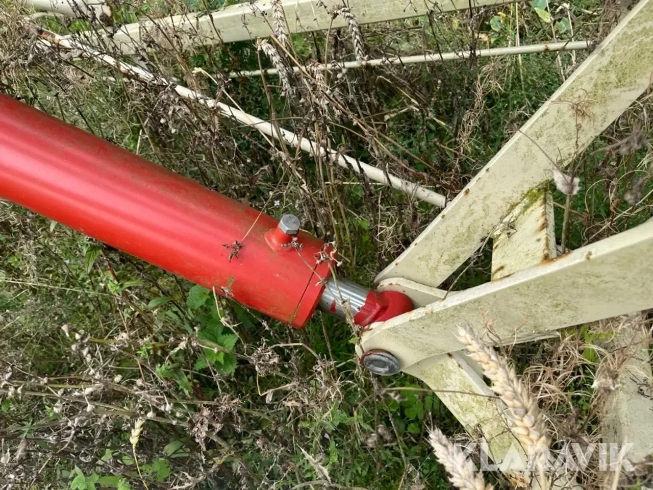 Billede 12 - Amerikaner snegl Buhler Farming