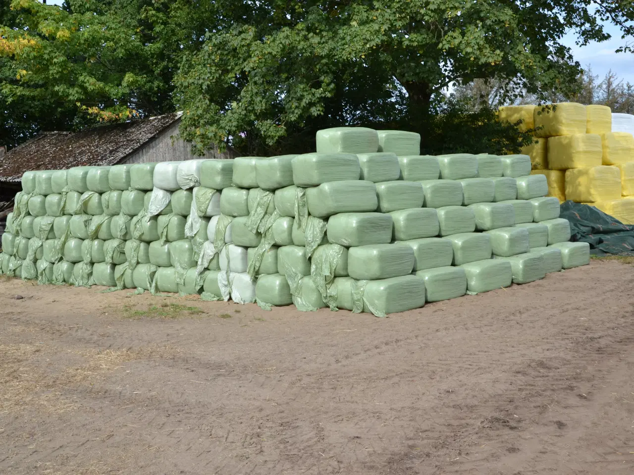 Billede 2 - Wraphø og indpakket hø med analyser