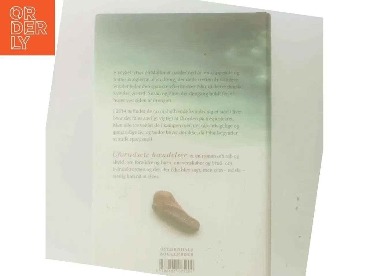 Billede 3 - Uforudsete hændelser : roman af Hanne Richardt Beck (Bog)