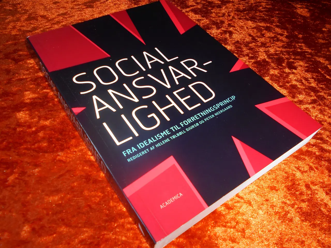 Billede 1 - Social ansvarlighed, Helene Tølbøll Djursø, 