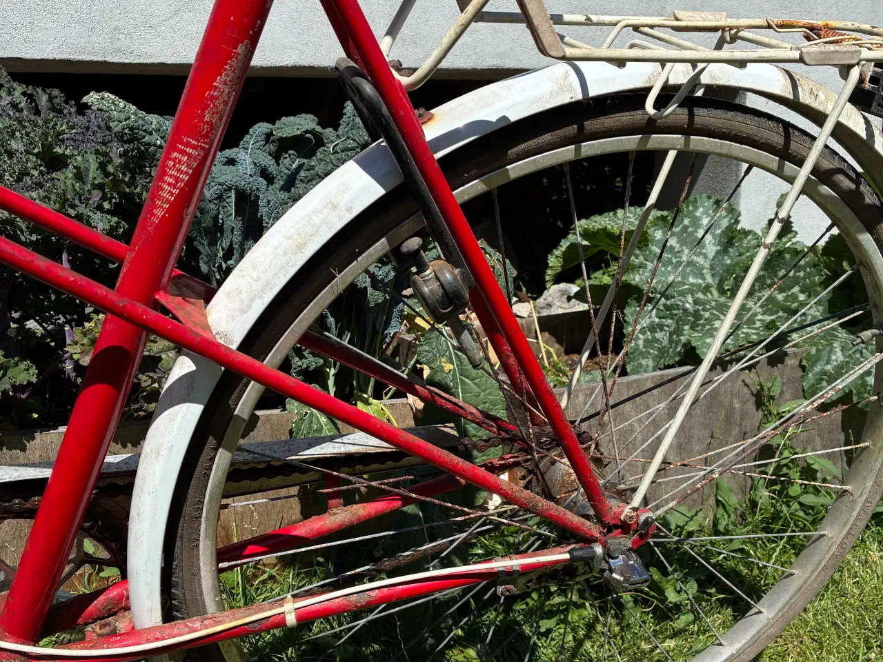 Billede 9 - Everton Cykel 28”