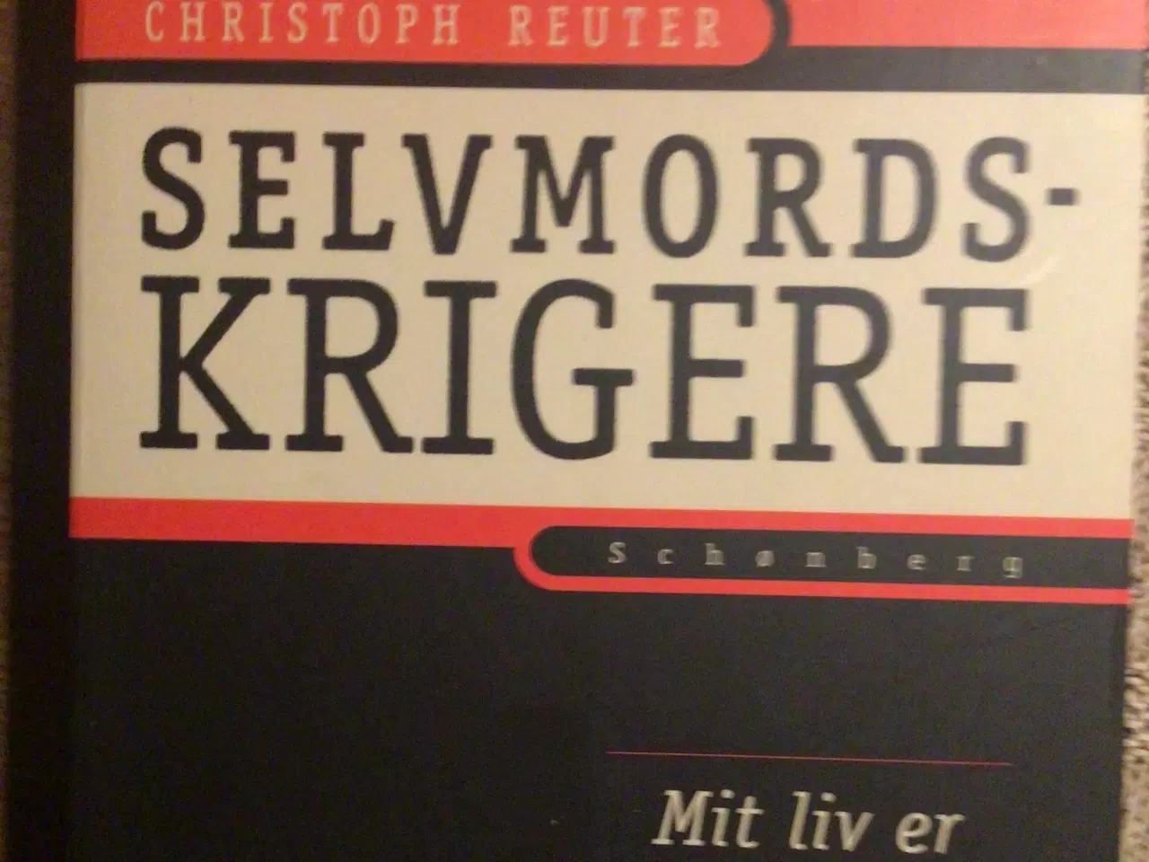 Billede 1 - Selvmordskrigere