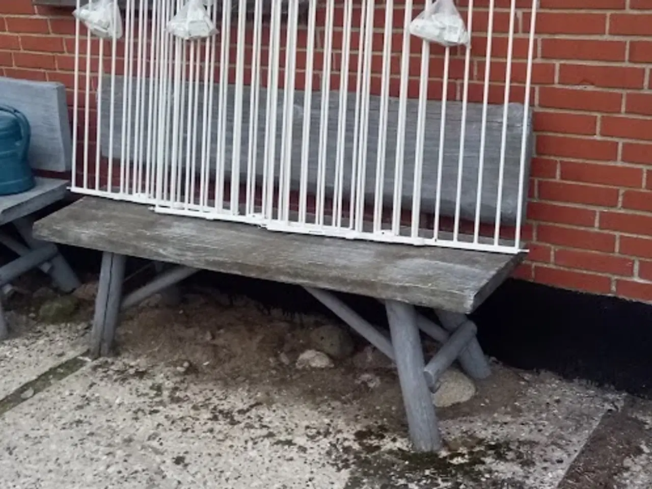 Billede 19 - Børn i fokus. 