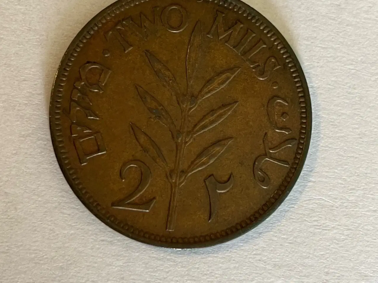 Billede 2 - 2 Mils Palestine 1942